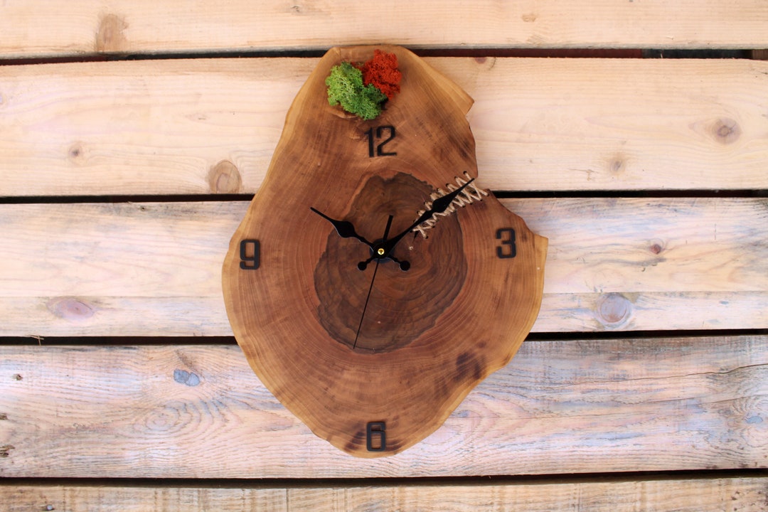 Rustic Walnut Wood Clock, Moss and Walnut Wood Wall Clock, Live Moss ...