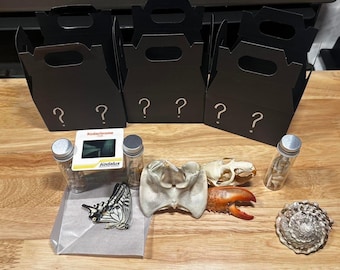 Oddity mystery box