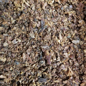 Propolis brute - Non raffinée - Directement de nos ruches