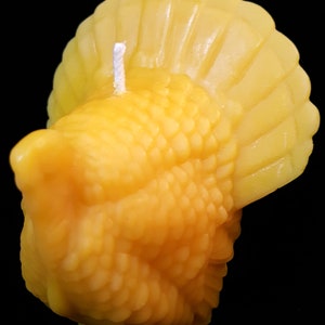 Beeswax Turkey Candle
