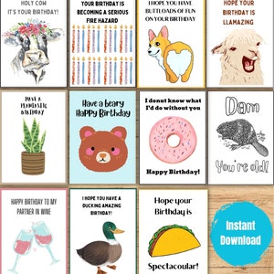 Lot de 11 cartes d'anniversaire | Imprimable | Punny | Humour | Téléchargement instantané | carte pour ami | Drôle | Bricolage | Fait main | Cadeau | Carte pour enfants