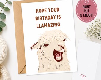 Lustige Geburtstagskarte | Sofortdownload | Druckbar | Lama | Punny | Alles Gute zum Geburtstag | Digitale Geburtstagskarte | Grußkarten | Albern