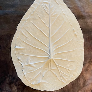 Latex Elephant Leaf Skin Concrete Or Plaster Mold