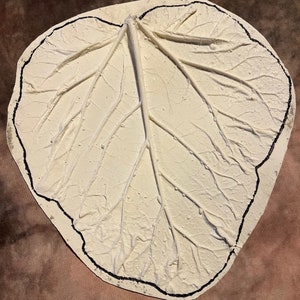 Latex Leaf Skin Concrete Or Plaster Mold