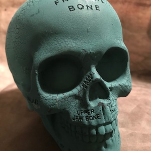 Latex Bones Skull Concrete Or Plaster Mold
