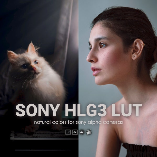 Perfect Colors LUT for SONY Alpha Cameras with HLG3 Picture Profile