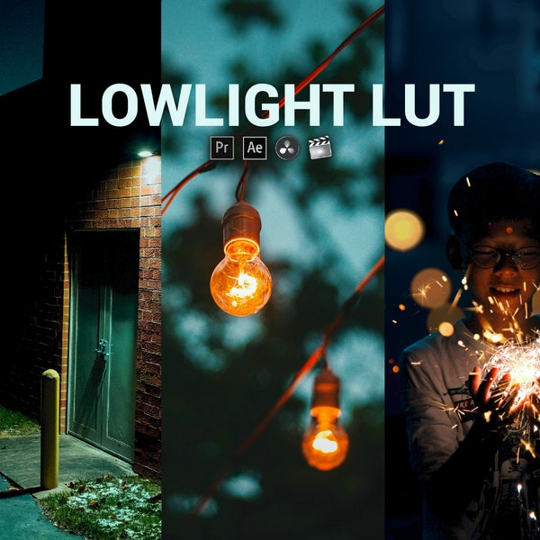 Cinematic & LOW LIGHT LUT for S-Log and Cine Picture Profiles