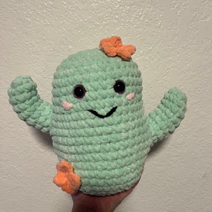 Crochet Cactus Buddy