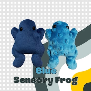 Könnte beinhalten: Zwei blaue Plüschfrosch-Spielzeuge. Einer ist dunkelblau, der andere hellblau strukturiert. Beide haben schwarze Augen. Der Text "Blue Sensory Frog" ist im Bild zu sehen.