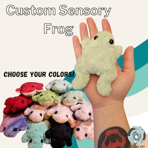 Custom Frog | Plushy | Plushie | Gifts | Sensory | Plush | Stim | Fidget | Cute | Handmade | Stuffed Animal | Personalized