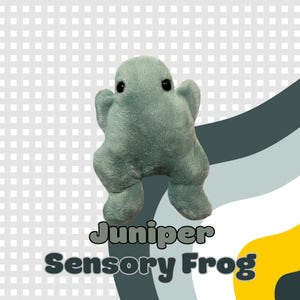 Puede incluir: Un juguete de rana de felpa verde salvia con ojos negros. La rana tiene un aspecto suave y texturizado y está diseñada con características redondeadas. El texto "Juniper Sensory Frog" se muestra en la parte inferior de la imagen.
