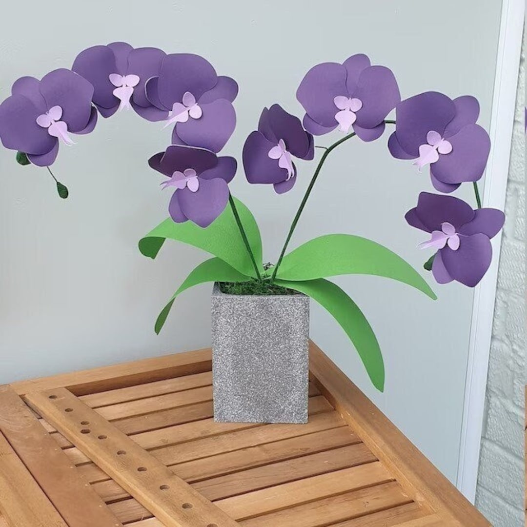 Paper Orchid Template Video Tutorial Flower Template Svg Etsy