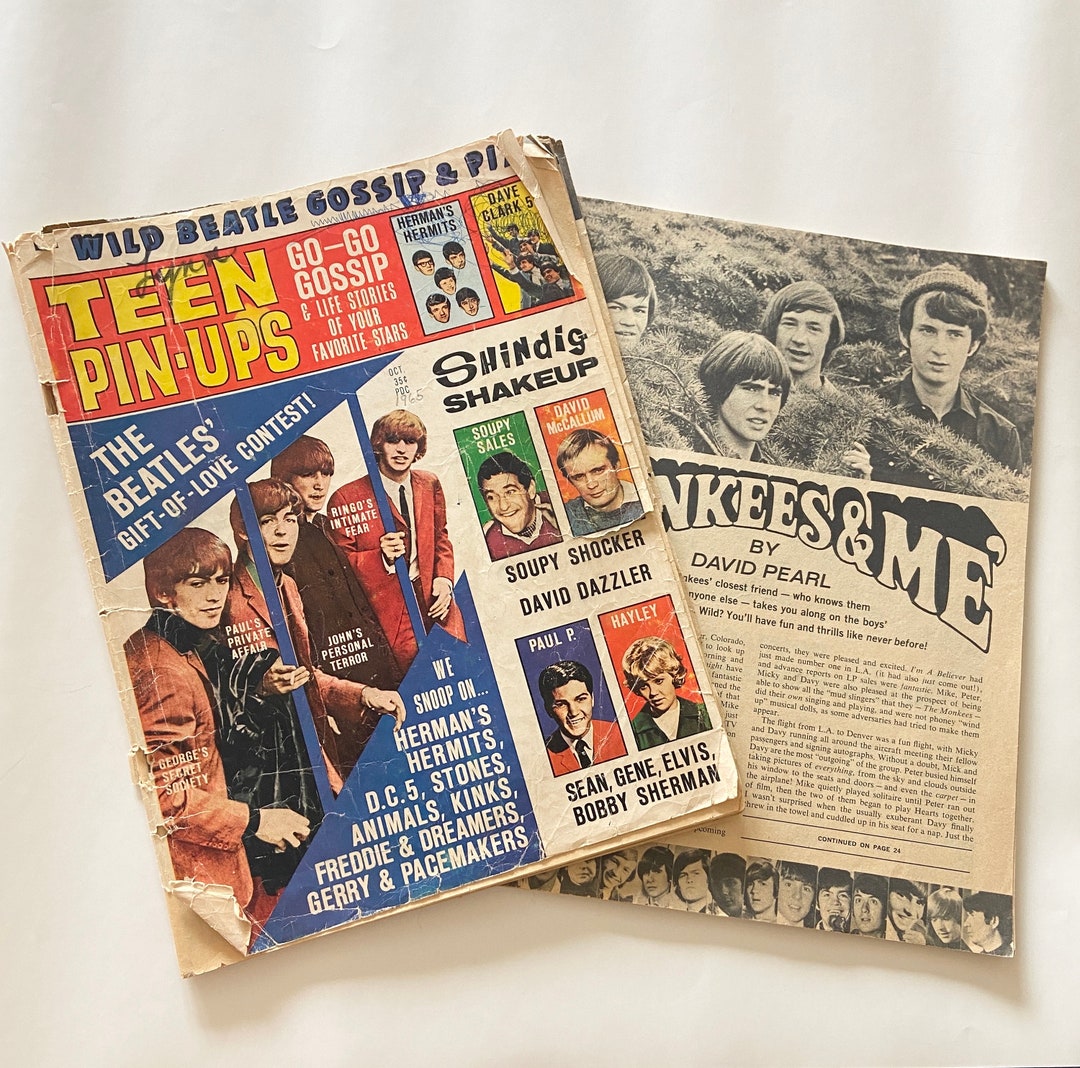 American  1960’s 雑誌 16冊セット インテリア il_1080xN.5979789515_1ddp.jpg