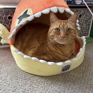 May include: An orange tabby cat inside a fish-shaped pet bed. The bed is orange and yellow with white teeth-like trim around the opening. The cat is looking directly at the camera.
