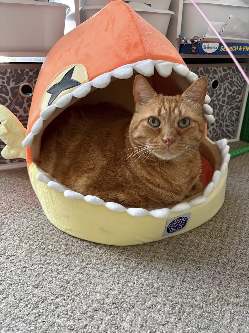 May include: An orange tabby cat inside a fish-shaped pet bed. The bed is orange and yellow with white teeth-like trim around the opening. The cat is looking directly at the camera.