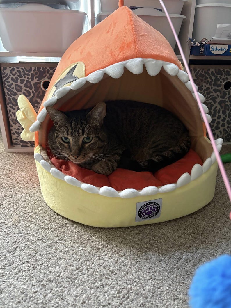 May include: A tabby cat rests inside a shark-shaped pet bed. The bed is yellow with white teeth-like trim and an orange top. A red cushion provides comfort. The cat's fur is brown and black, and it has green eyes.