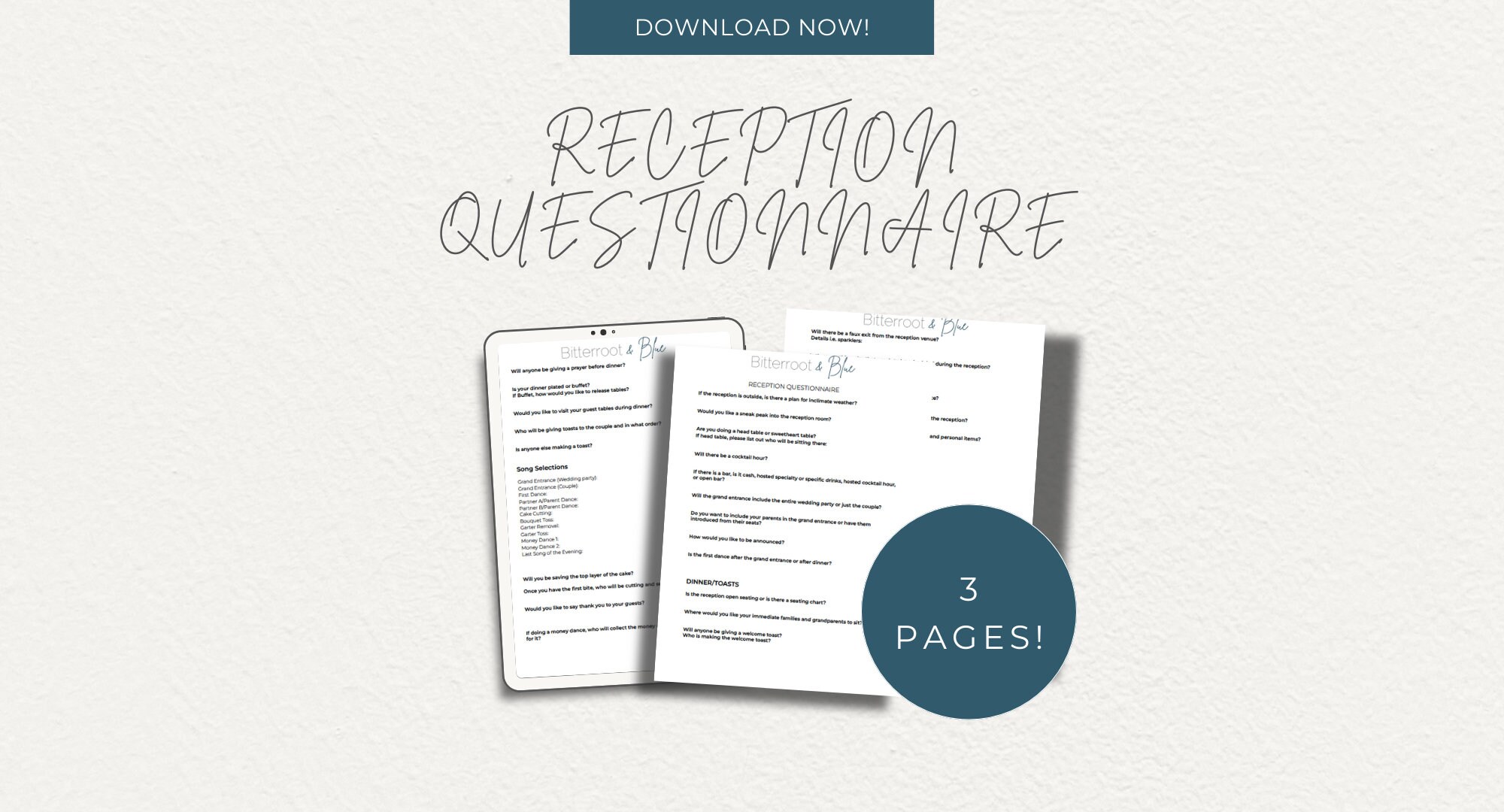 Wedding Reception Questionnaire, DIY BRIDE, PLANNING Etsy