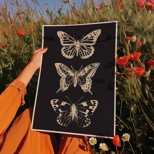 May include: A black poster with three white butterfly silhouettes. The butterflies are arranged vertically, with the largest butterfly at the top and the smallest butterfly at the bottom. The butterflies have intricate wing patterns.