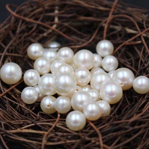May include: A collection of white pearl beads in a brown nest-like container. The pearls are round and smooth, with a slight iridescent sheen.