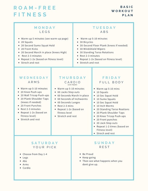 Basic Beginner Workout Plan Etsy