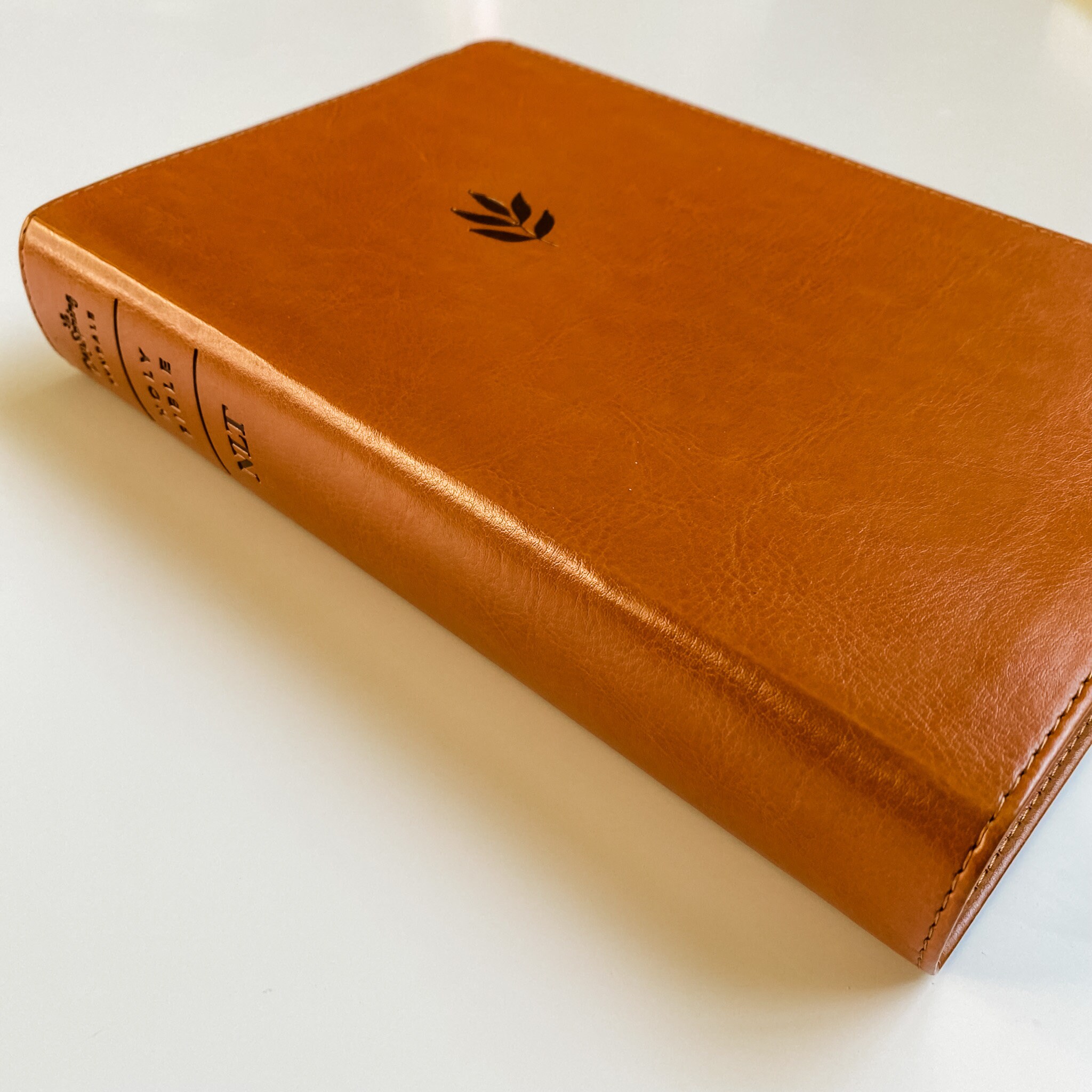 NLT Dayspring Bible - PERSONALIZED - Tan With Leaves - Giant Print ...