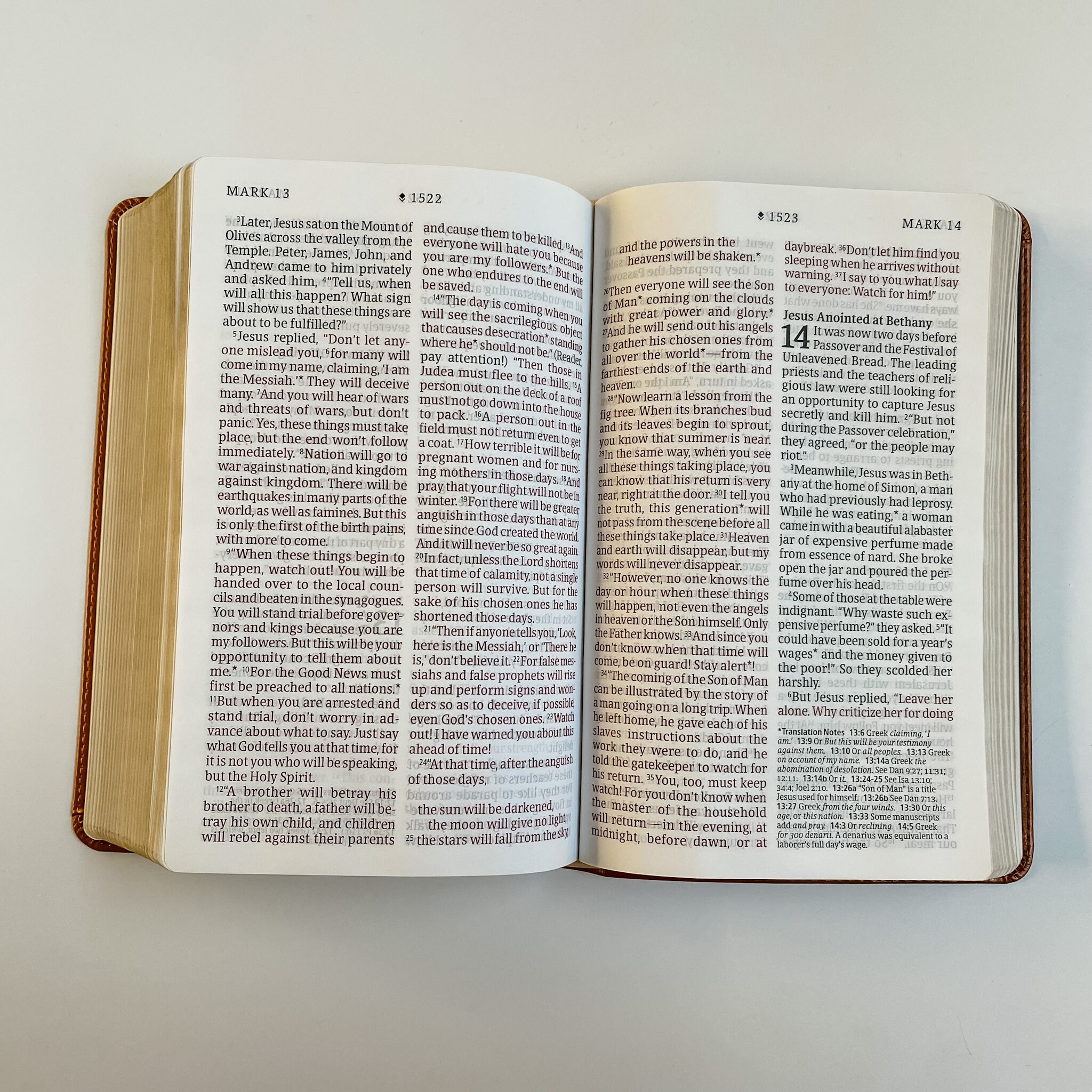 NLT Dayspring Bible - PERSONALIZED - Tan With Leaves - Giant Print ...