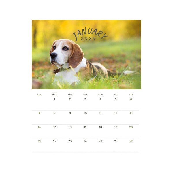 2024 Dog Calendar Etsy