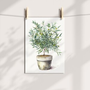 May include: A watercolor painting of a potted olive tree with green leaves and small green olives. The tree is in a light brown pot with a rough texture.