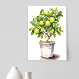 Puede incluir: Pintura acuarela de un limonero en maceta con hojas y frutos verdes. El árbol está en una maceta blanca con un patrón azul y blanco.