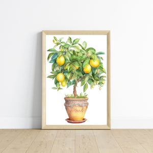 May include: A watercolour painting of a potted lemon tree with green leaves and yellow lemons. The tree is in a brown pot with a decorative design.