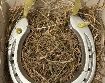 Lucky used horseshoe with hanging ribbon, perfect for wedding, anniversary, birthday gift and home decor, option to paint and engrave.