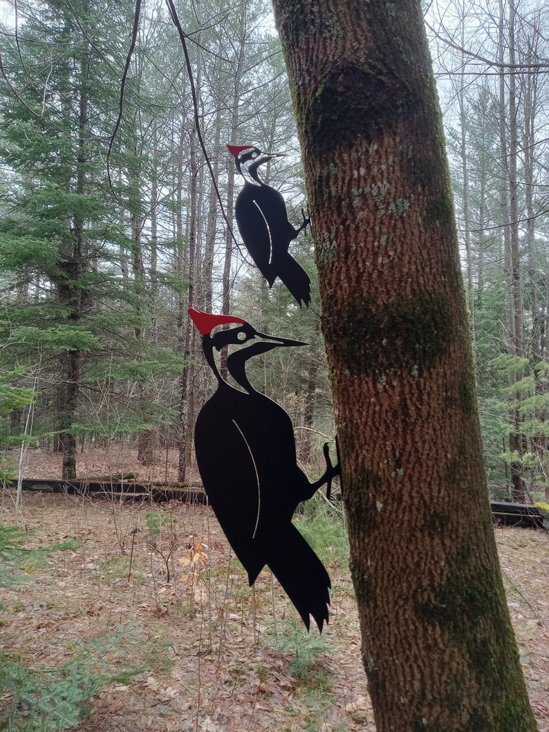 Metal Pileated Woodpecker Etsy