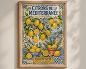 Mediterranean Lemon Poster, French Vintage Citrus Wall Art, Kitchen Print, Blue Yellow Tile