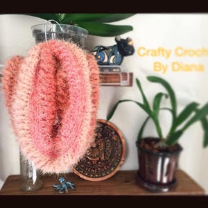 May include: A pink and white fuzzy crocheted infinity scarf. The scarf is hanging on a hook and is in focus. The background is out of focus and includes a plant, a small figurine, and a wooden shelf.