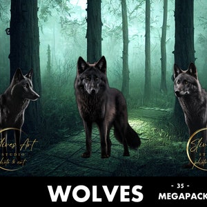 Superposiciones de lobos - (35) - PNG archivos - Superposiciones de Photoshop, transparentes, DESCARGA DIGITAL