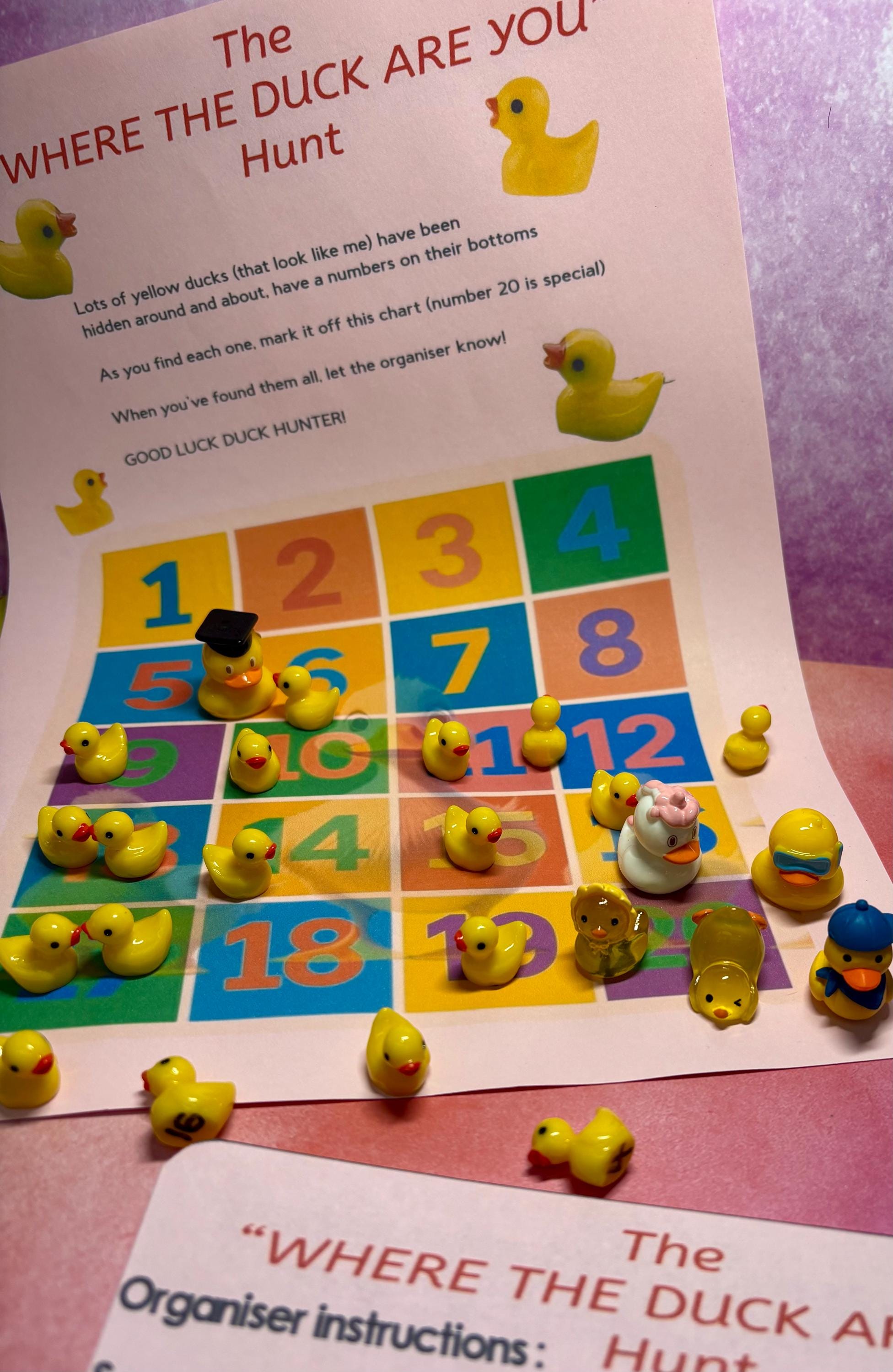 Hunt the Ducks Game for Family Fun, Includes Prize! | Valentines | Easter |  Birthdays | Friends | Play | Fun Finding Game | Hide and Seek | - Etsy