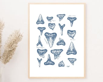 Shark tooth Print, Surf minimalist line art, East Coast Wall Art, Coastal Cowgirl, Coastal Granddaughter, Coastal Art, Meet me at the beach