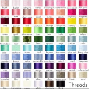 Puede incluir: Una carta de colores que muestra una variedad de colores de hilo, incluyendo rubor, ballet y rosa suave. La carta presenta una gama de tonos, desde pasteles claros hasta tonos vibrantes como rosa intenso y magenta. La palabra "Threads" est&aacute; en la parte inferior.
