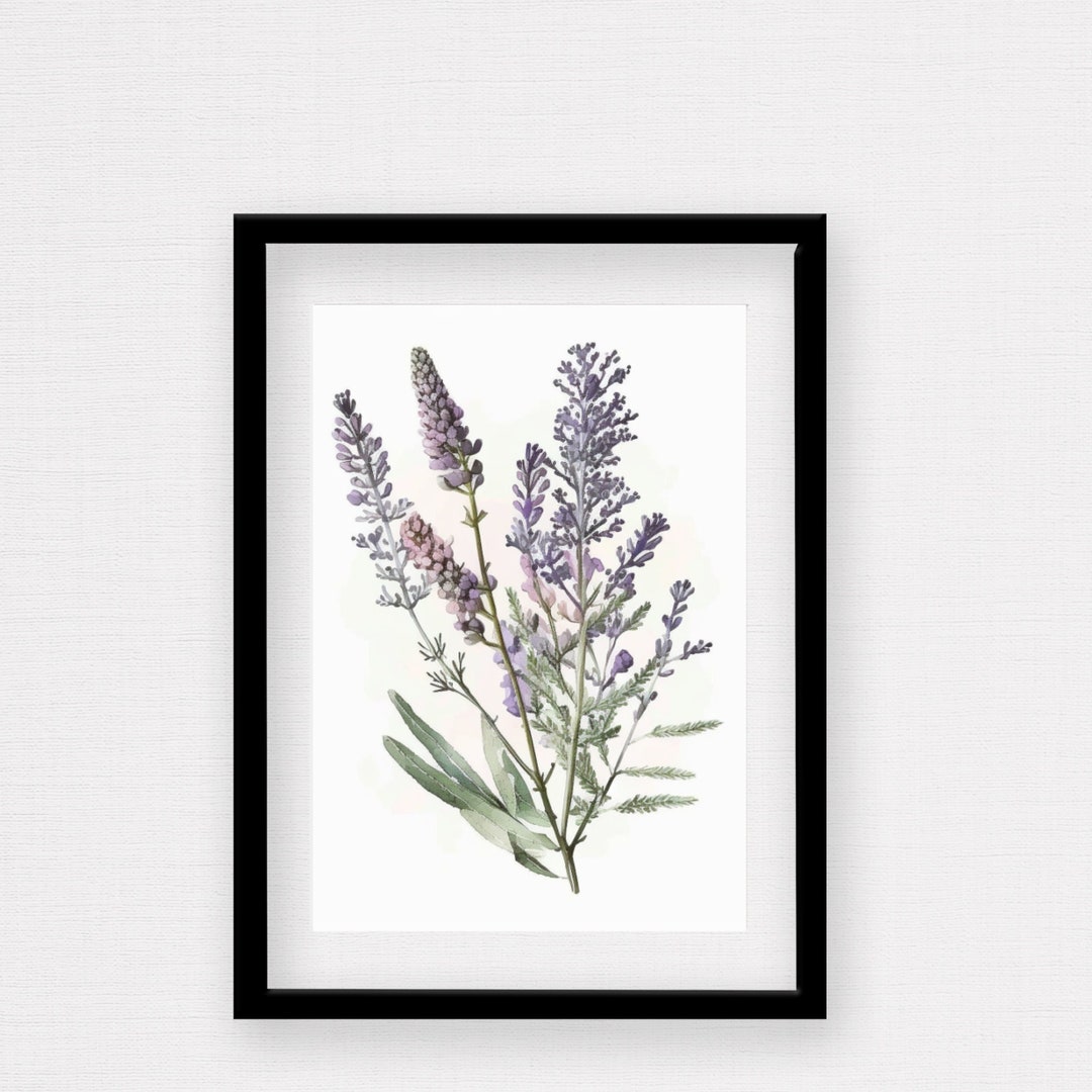 Lavender Herb Watercolor Floral, Lavender Printable Art, Watercolor