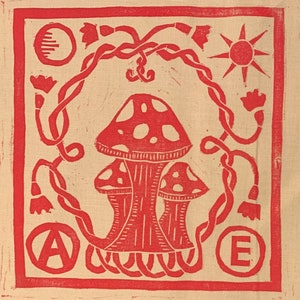 Pode incluir: Ilustração de cogumelos vermelhos e brancos com um design de videira e flores. As letras A e E estão de cada lado dos cogumelos.