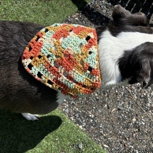 Handgehaakte bandana&#39;s: voor jou of je huisdieren!