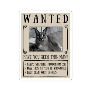 Big Floppa My Beloved Caracal Cat Meme Poster