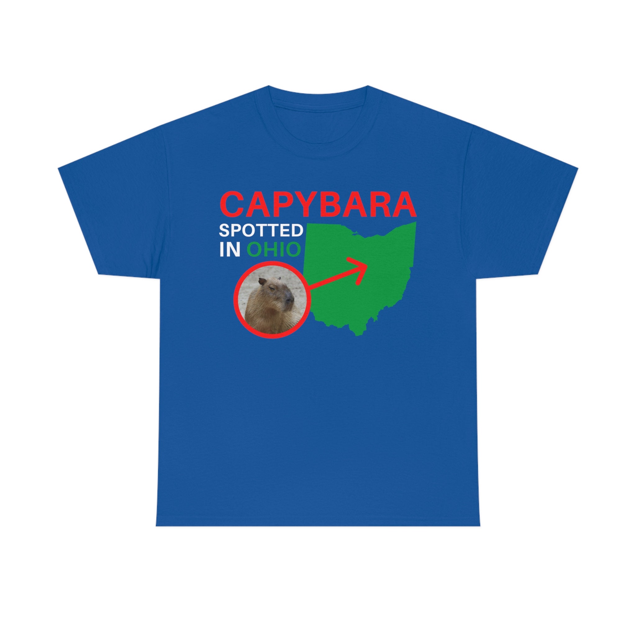 Capybara Spotted in Ohio Big Rodent Ohio Meme T-Shirt, Capybara In