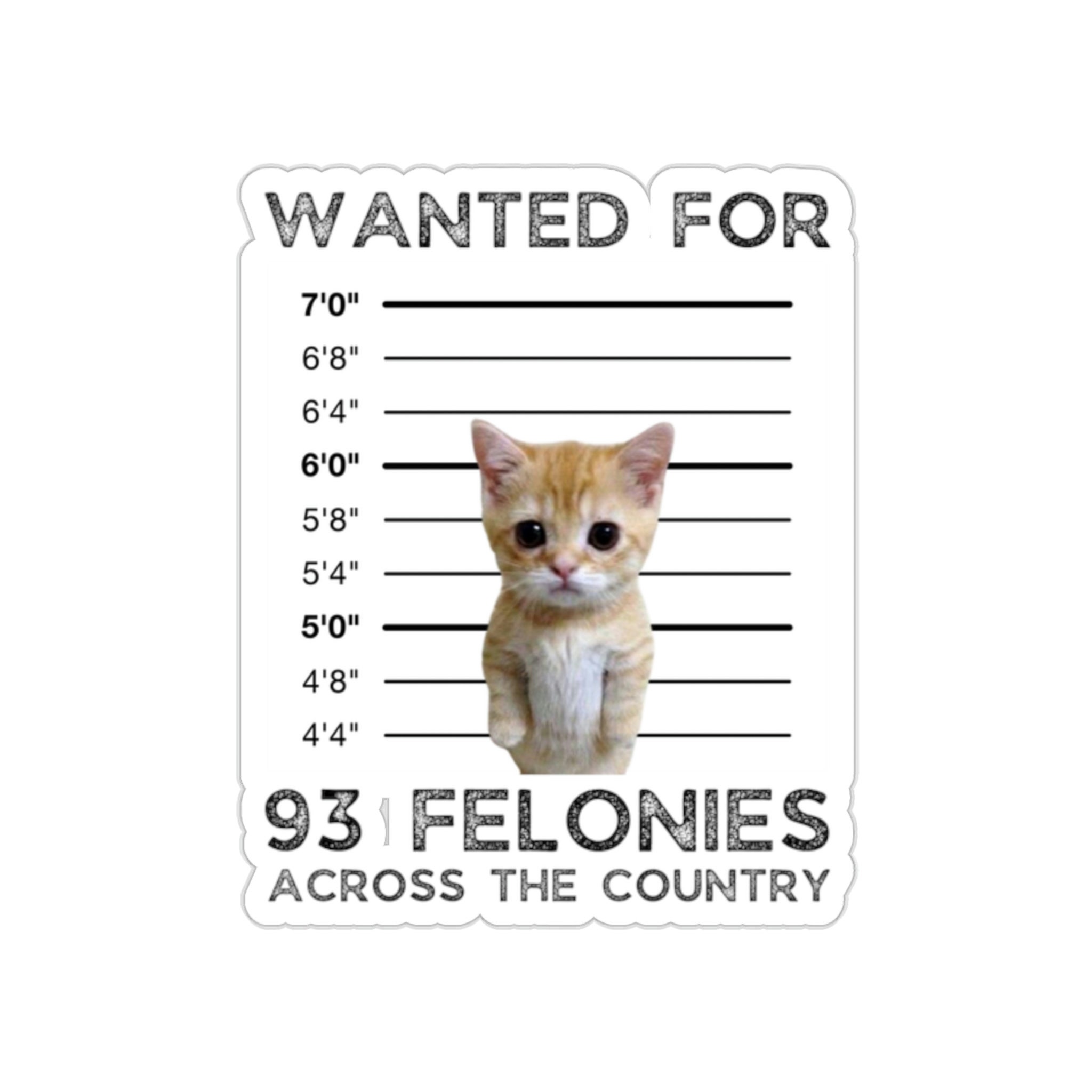 Big Floppa Wanted Poster Sticker Funny Caracal Cat Meme 