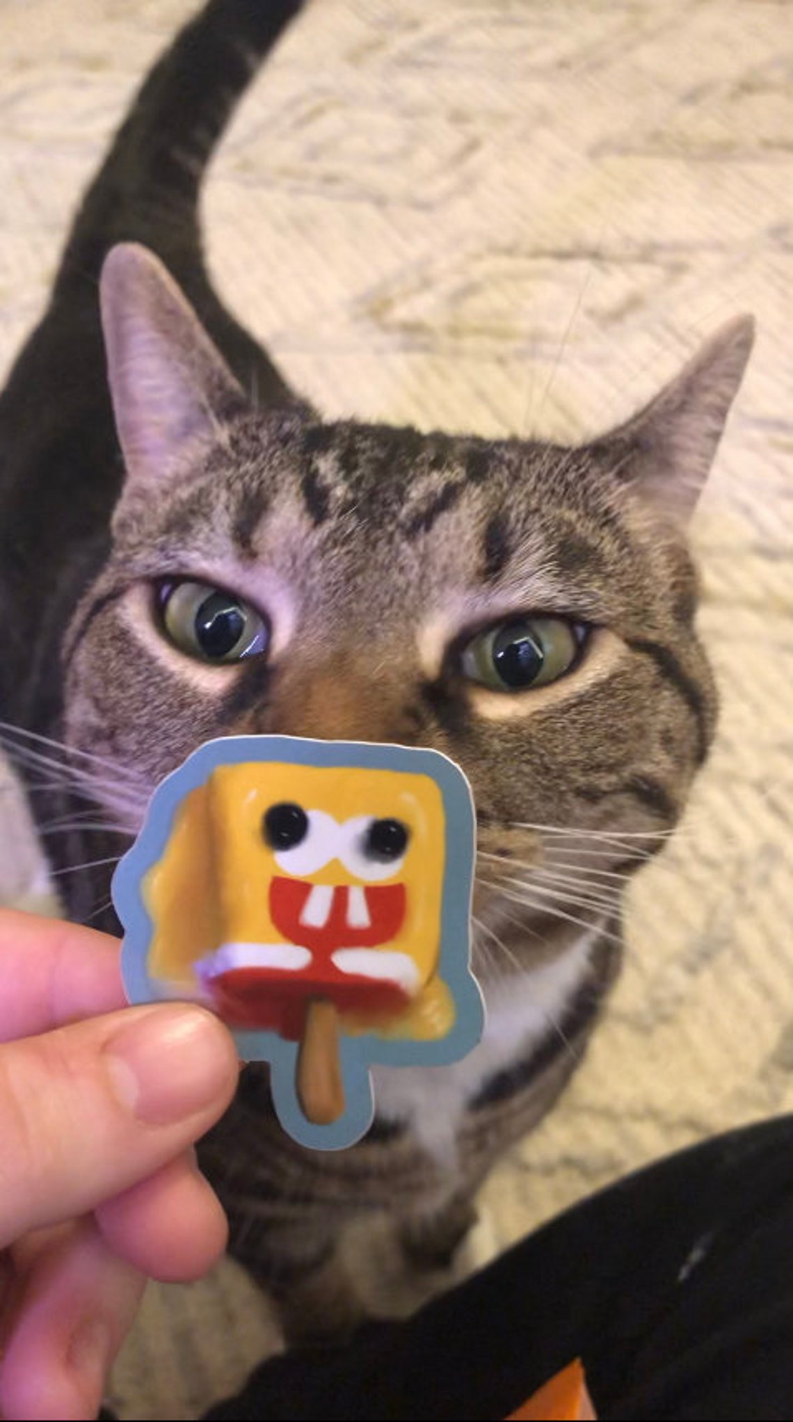 Spongepop Sticker - Etsy