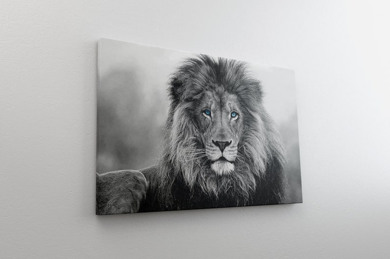 Lion Wall Decor Black & White Blue Eyes Lion Wall Art Lion Etsy