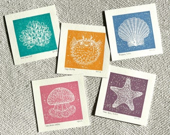 Tasty color mini prints - Scallop, Blowfish, Coral reef, Jellyfish, Starfish