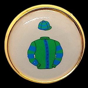 Bespoke lapel badge/ brooch horse racing jockey colours