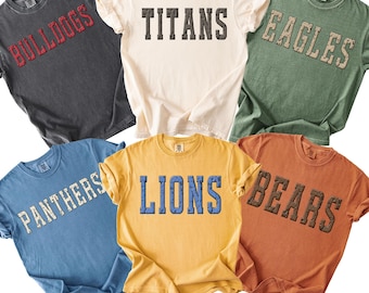 Comfort Colors Custom Game Day Shirt, School Spirit Shirts, School Mascot Tee, Football Shirts, Team Spirit Shirt, Custom School Spirit Tee