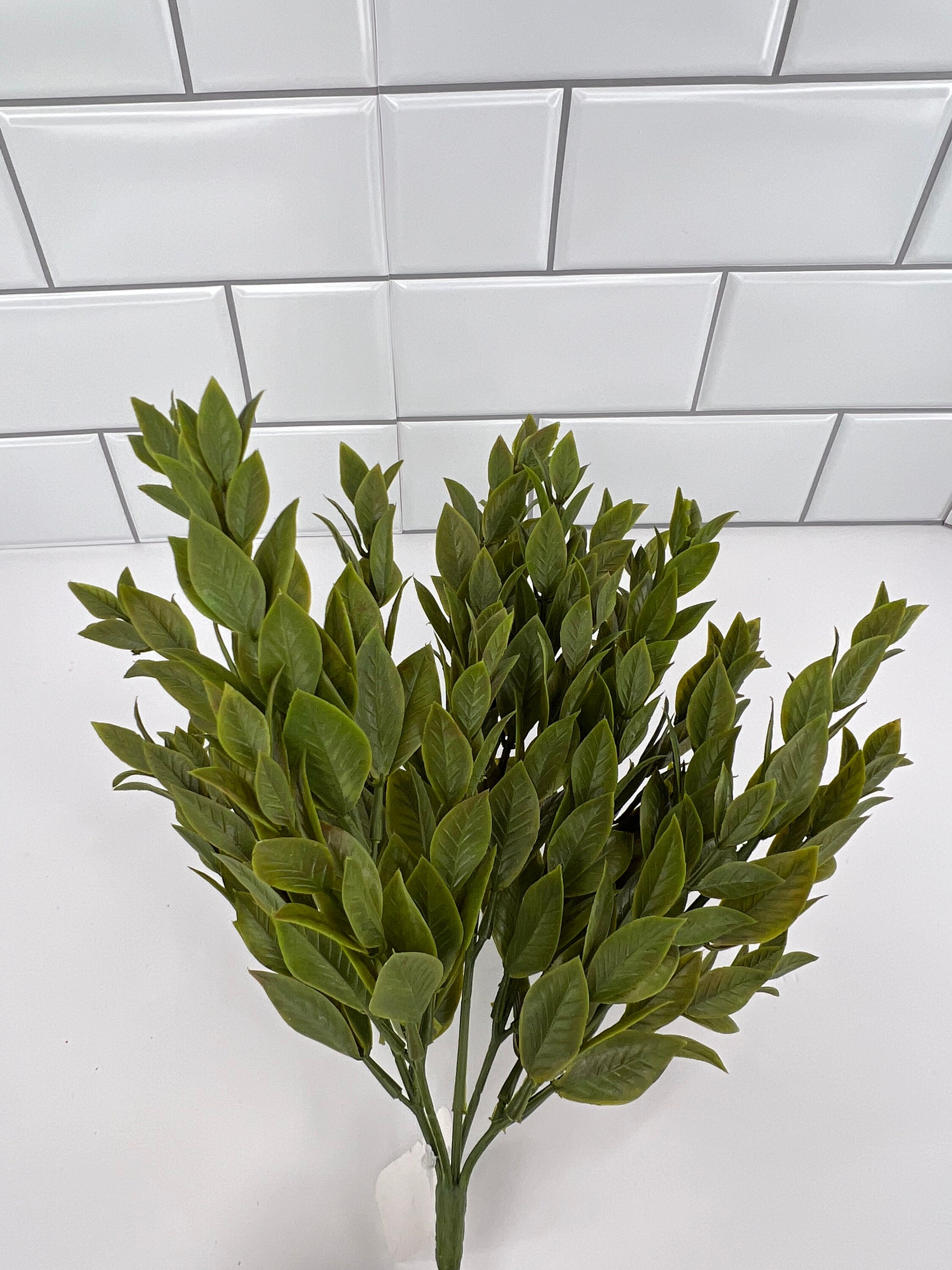 Ruscus Fillers 12